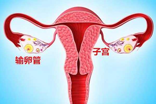到香港验血费用多少,宫腔积液如何影响辅助生殖技术中助孕过程？
